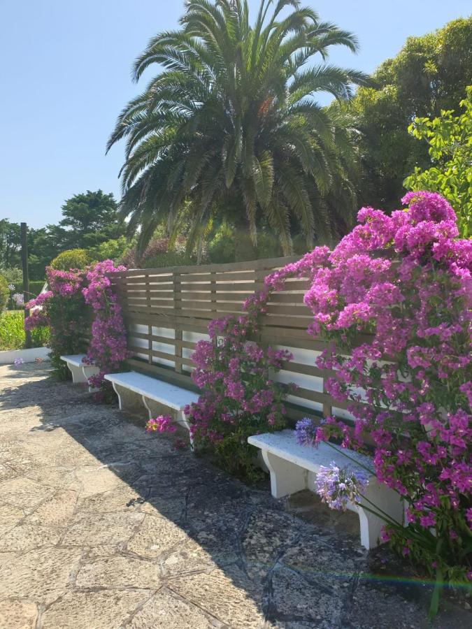 فيلا سينترافي Quinta Casa Portuguesa المظهر الخارجي الصورة